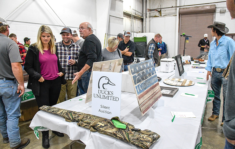 Photo by Mark Gilliland / The event featured silent auctions in addition to a live auction.