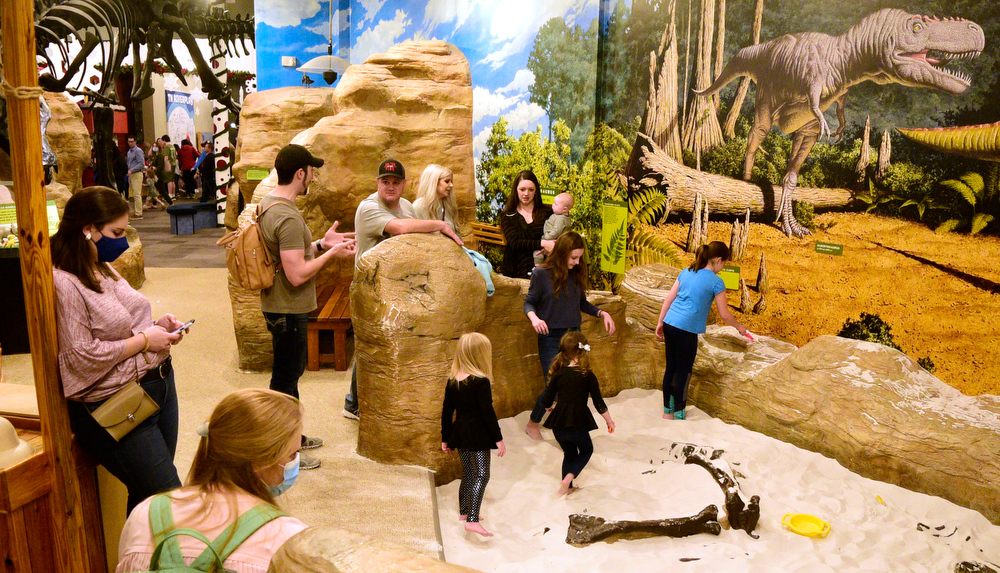 Staff Photo by Robin Rudd / The digging for dinosaurs exhibit is always popular. The New Year was celebrated during the "Cheers for the New Year" event at the Creative Discovery Museum on December 30, 2021.