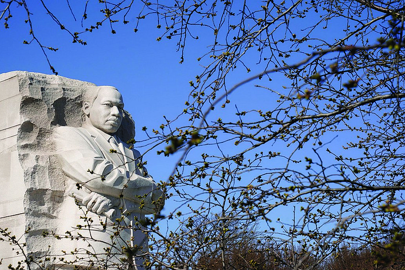 Cherry blossoms begin to bud at the Martin Luther King Jr. Memorial in Washington, D.C. / AP File Photo/Patrick Semansky