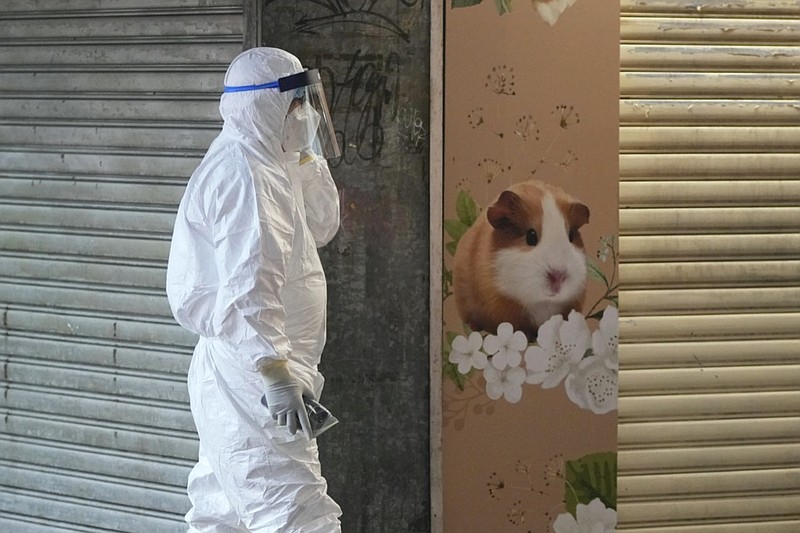 A staffer from the Agriculture, Fisheries and Conservation Department walks past a pet shop which was closed after some pet hamsters were, authorities said, tested positive for the coronavirus, in Hong Kong, Tuesday, Jan. 18, 2022. Hong Kong authorities said Tuesday that they will kill about 2,000 small animals, including hamsters, after several tested positive for the coronavirus at the pet store where an employee was also infected. (AP Photo/Kin Cheung)