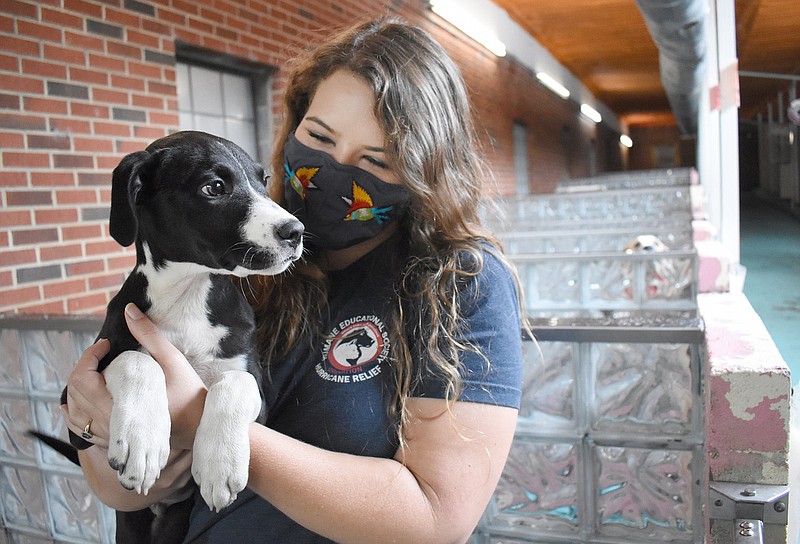 Staff file photo by Matt Hamilton / Taylor Hixson holds Smaxx, a dog up who was up for adoption at the Humane Educational Society, in this file photo.