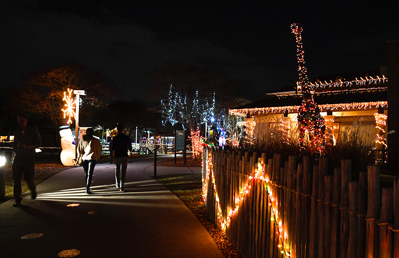 Photo by Mark Gilliland / Holiday lights give the Chattanooga Zoo a festive feel.