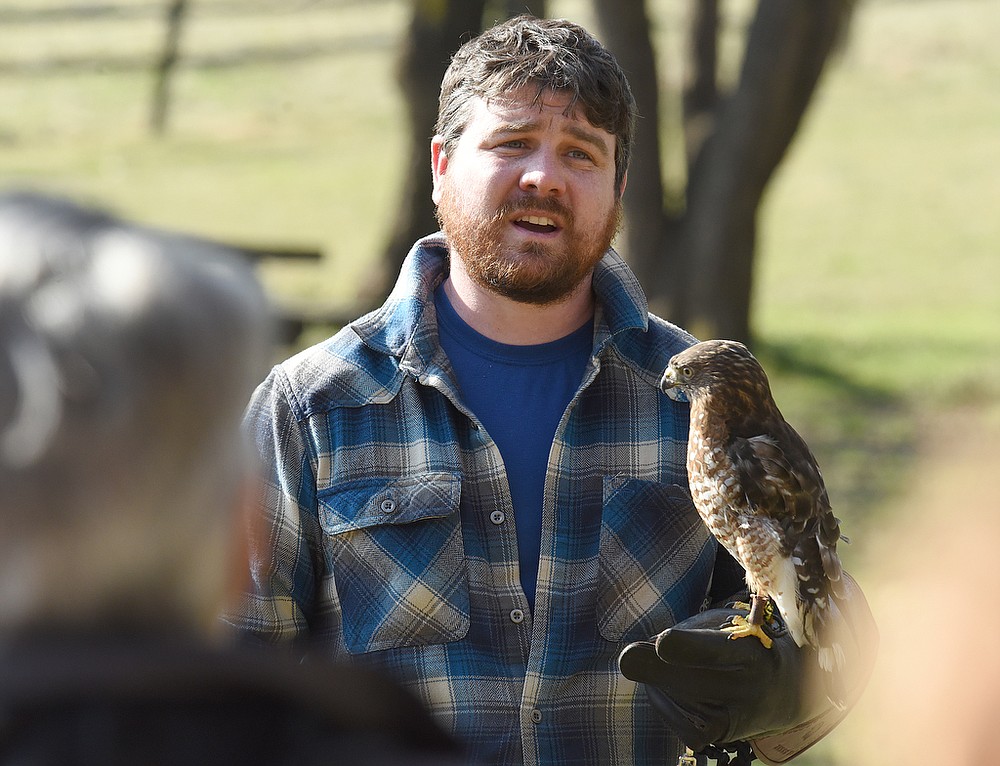 A hawk's eye view Chattanooga Times Free Press