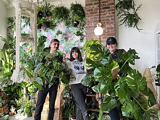 Chattanooga 'plant parents' say indoor gardening feeds their desire to ...