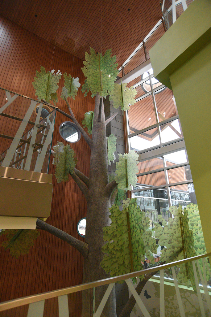Staff Photo by Matt Hamilton / A tree rises up through three floors of Anna Shaw Children's Institute on Thursday, January 20, 2022 in Dalton, Ga.