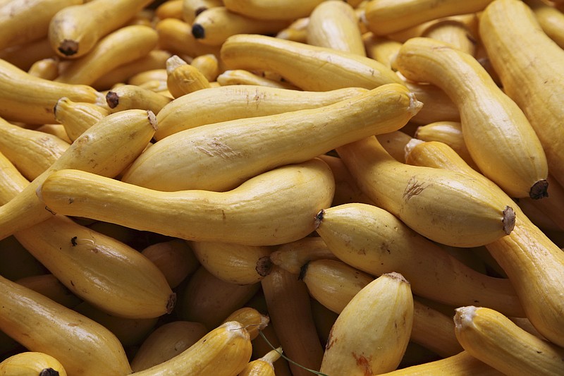 Yellow squash. / AP Photo/J. Scott Applewhite