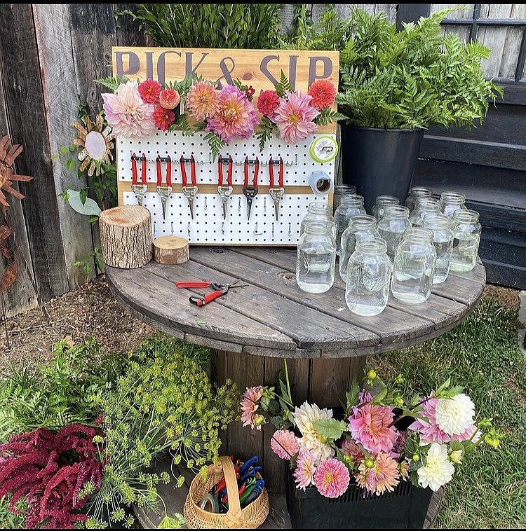 Contributed Photos by High Point Farms/ High Point Farms is offering new summer "Pick and Sips," where guests can enjoy a beverage while they pick and create their own floral arrangements.