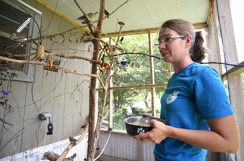 Staff photo by Matt Hamilton / Chattanooga resident Deanna Hall gets fresh seeds for birds in an aviary as she volunteers at Camp Wildernest Wildlife Center on Saturday, July 2, 2022. 