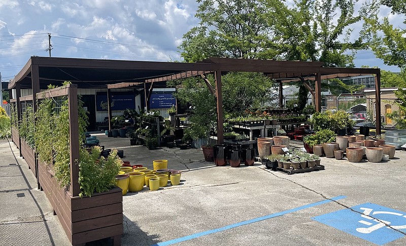 Staff Photo by Dave Flessner / The 1,152-square-foot Bees on a Bicycle shop on south Market Street in downtown Chattanooga, seen Wednesday, is closing Sunday after five years. The store specialized in sustainable gardening with pots, plants and gifts.