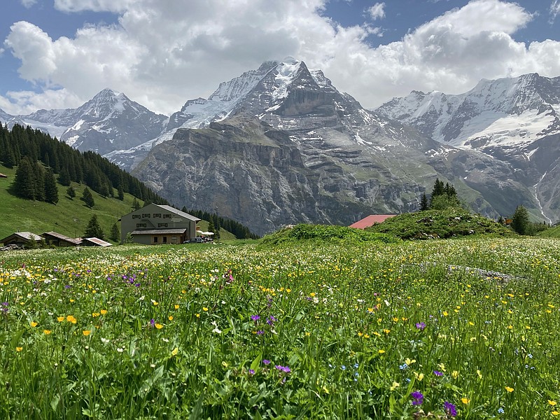Wildflowers adorn a hillside beneath the Swiss Alp Jungfrau, which translates to "young maiden." The glaciers on the side of the mountain are said to resemble the skirts of a young woman. / Photo by Patti Smith.