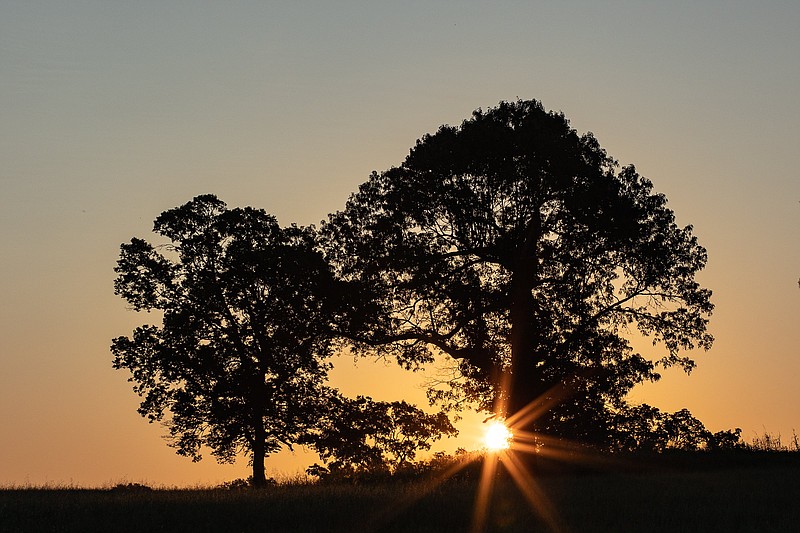 Staff Photo / The sun rises over Chickamauga Battlefield in 2021 in Chickamauga, Georgia. A vacation-themed website has declared that Monday will be the "most perfect day of the year" in Georgia and Alabama. Tennessee's similar superlative will come a week later, on July 25.