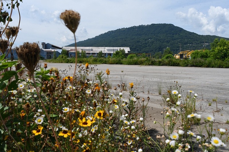 Staff Photo by Robin Rudd / Wildflowers bloom alone the fence protecting the former U.S. Pipe/Wheland Foundry site on June 14, 2022. The brownfield is the site of a proposed redevelopment on the city's southside using a new stadium for the Chattanooga Lookouts as a centerpiece and catalyst. Local opinion is divided on the project.