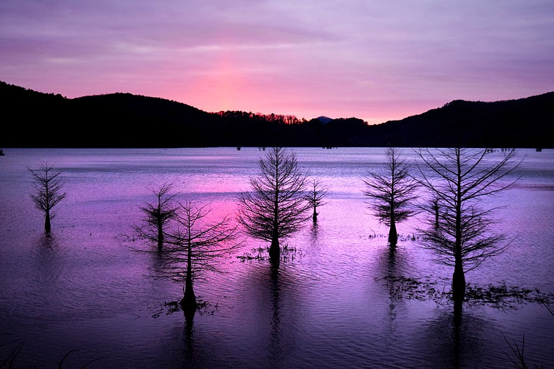 Staff Photo by Robin Rudd / The sun sets on a cloudy day over Parksville Lake in the Cherokee National Forest in 2020. The cypress trees are Ocoee landmark as they grow from the lake near where Greasy Creek joins the reservoir. A Trump-era rule change in November 2020 eliminated safeguards involving public input under the National Environmental Policy Act that protects national forests from unneeded, ill-conceived and destructive logging, road building and utility right-of-way projects.