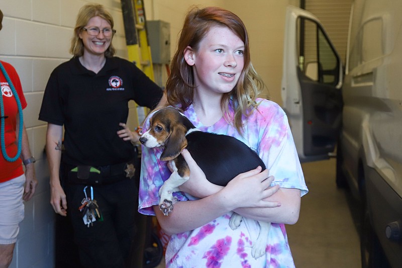 Staff photo by Olivia Ross / Cheyanne Garrett holds one of the beagles during the unloading process. Twenty-one of the 4,000 beagles from the Envigo breeding and testing site in Cumberland, Virginia, were rescued and brought to the Humane Educational Society in Chattanooga on August 4, 2022.