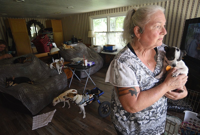 Staff photo by Matt Hamilton / Barbara Havlin holds Maggie Mae, a rescue with a broken leg and a bullet lodged in her hip, as they look out the window of their home in Trenton, Ga., on Friday, August 5, 2022.