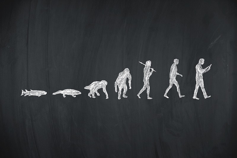 Evolution of humans, Darwin, human evolution from fish to smartphone user. / Getty Images/iStock/altmodern